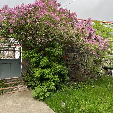 Soso Burduli'S Guesthouse 카즈베기 외부 사진