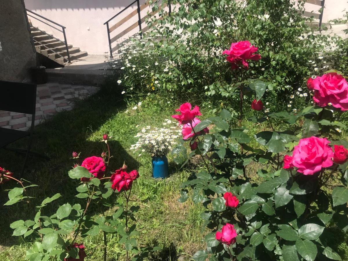 Soso Burduli'S Guesthouse 카즈베기 외부 사진